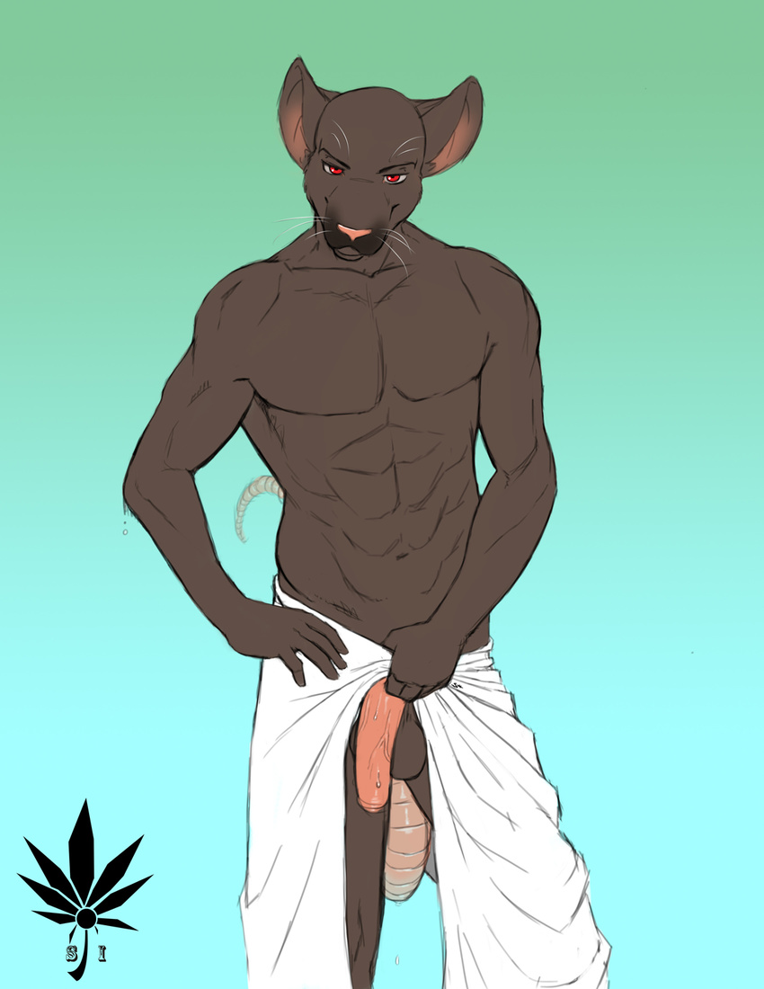 anthro balls mammal penis pose rat red_eyes rodent shephard sickyicky solo towel uncut