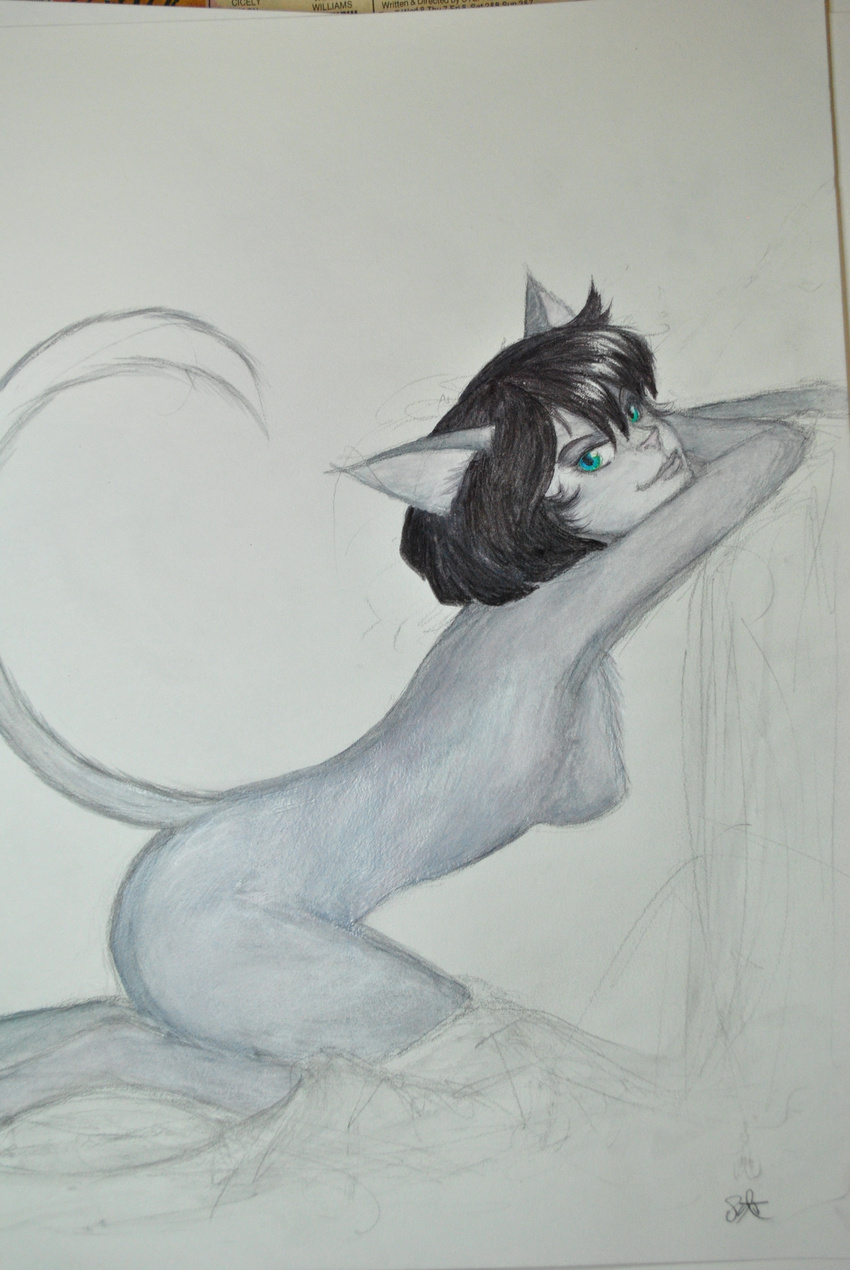 anthro breasts butt cat feline female hair iso1600 mammal octet traditional_media_(artwork) watercolor_(artwork)