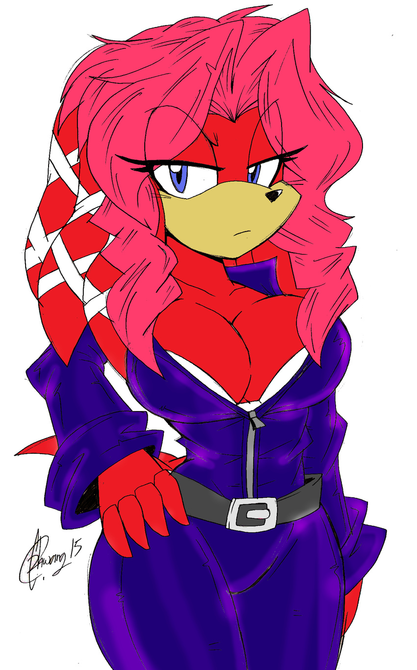 2015 akatsukishiranui-fox anthro big_breasts breasts cleavage clothed clothing echidna female lien-da mammal monotreme sega solo sonic_(series)