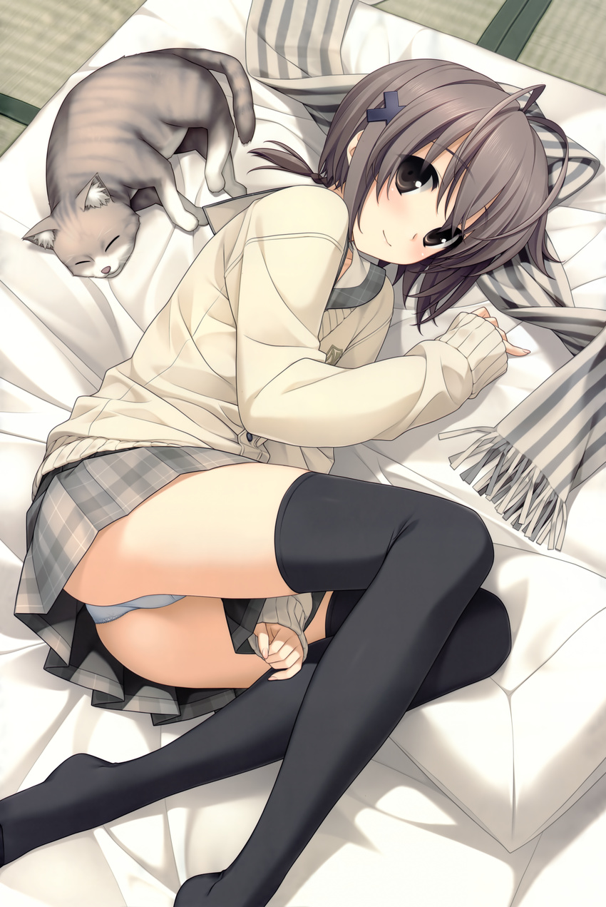 absurdres amatsume_akira animal bed black_eyes black_legwear brown_hair cardigan cat from_above full_body futon hair_ornament hairclip hashimoto_takashi highres huge_filesize indoors long_legs looking_at_viewer lying no_shoes on_bed on_side panties pantyshot pantyshot_(lying) pillow scarf scarf_removed school_uniform short_hair skirt skirt_pull thighhighs underwear whiskers white_panties yosuga_no_sora