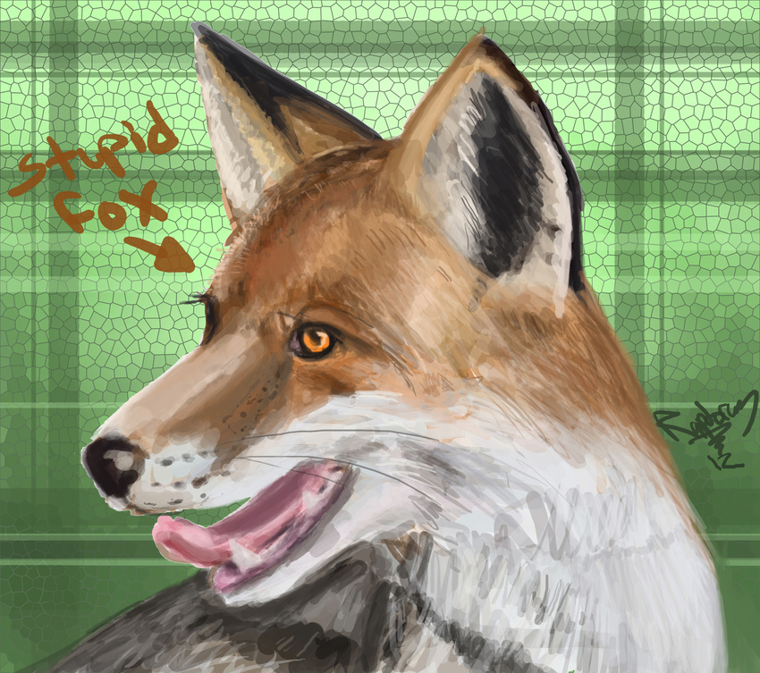 2012 arrow black_fur brown_fur canine close-up english_text feral fox fur male mammal multicolored_fur open_mouth orange_fur painting_(artwork) raptor007 realistic sharp_teeth solo stupidfox teeth text tongue tongue_out traditional_media_(artwork) white_fur yellow_eyes