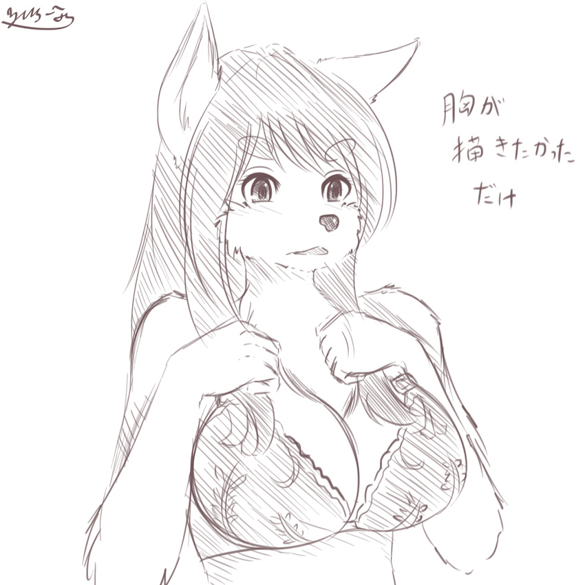 anthro big_breasts bra breasts canine clothing dog female fur hair japanese_text kemono mammal plain_background solo text underwear white_background yus-ts