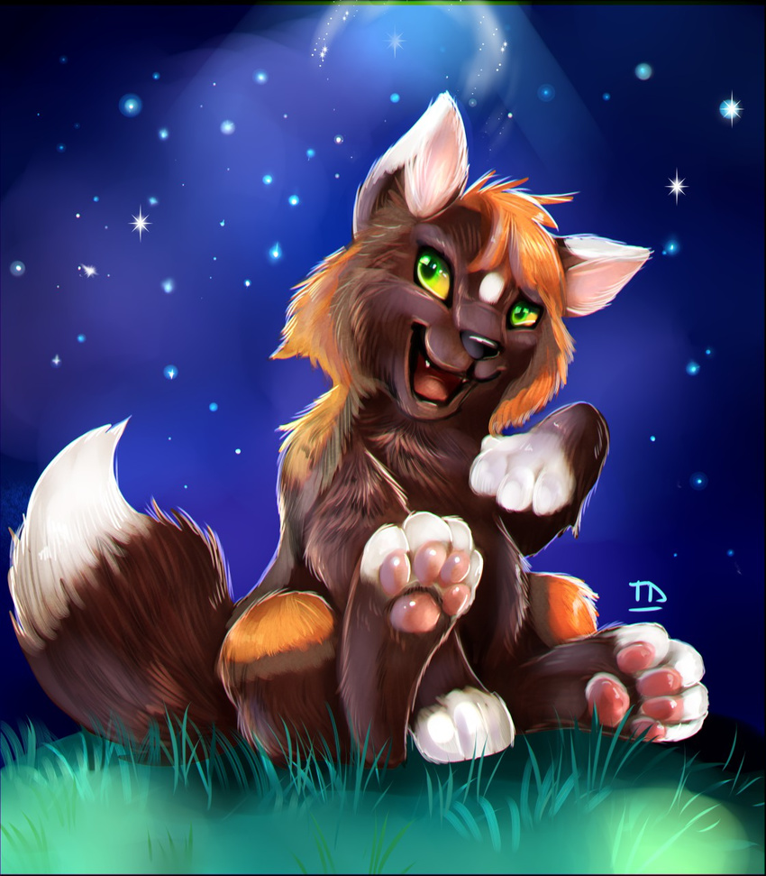 4_toes brown_fur cross-fox fluffy fur grass green_eyes happy looking_at_viewer male moon orange_fur outside pawpads paws raised_paw realistic sitting smile solo star teeth teh-evil-tigress toes white_fur