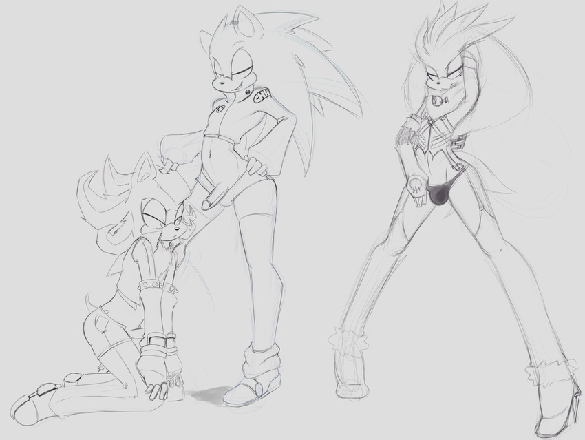 angelbreed balls bulge clothing male male/male penis sega shadow_the_hedgehog silver_the_hedgehog sonic_(series) sonic_the_hedgehog thong