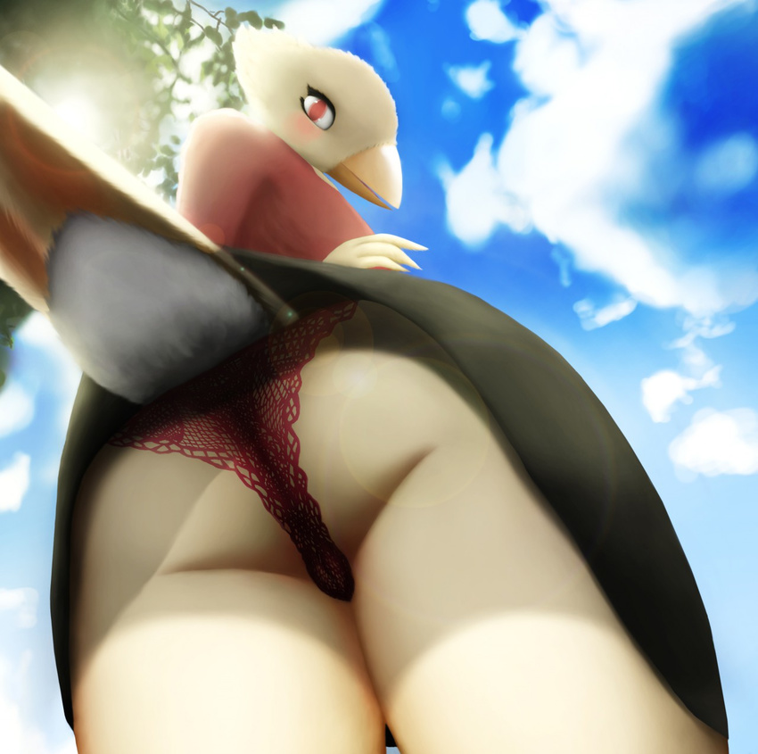 anthro avian beak bird blouse blush butt camel_toe canary clothing cloud embarrassed fanny feathers feathery female low-angle_shot open_beak panties pussy raised_tail red_eyes shadow skirt sky soft solo sun surprise thousandfoldfeathers tongue tree underwear upskirt worm's-eye_view