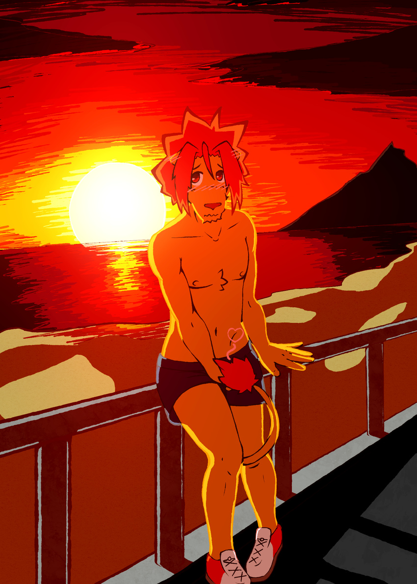 anthro beach blush clothed clothing fur hair half-dressed htodinth male morenatsu muscles nipples outside pecs sea seaside shorts sky soutaro sunset topless water