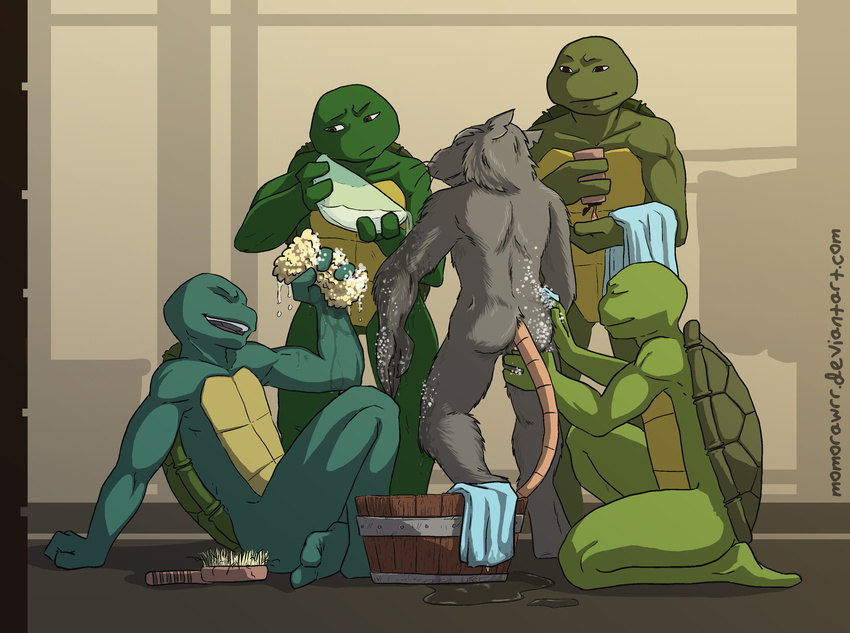 bath butt donatello_(tmnt) father father_and_son leonardo_(tmnt) male male/male mammal michelangelo_(tmnt) momorawrr nude parent raphael_(tmnt) rat rodent semi_incest son splinter teenage_mutant_ninja_turtles water