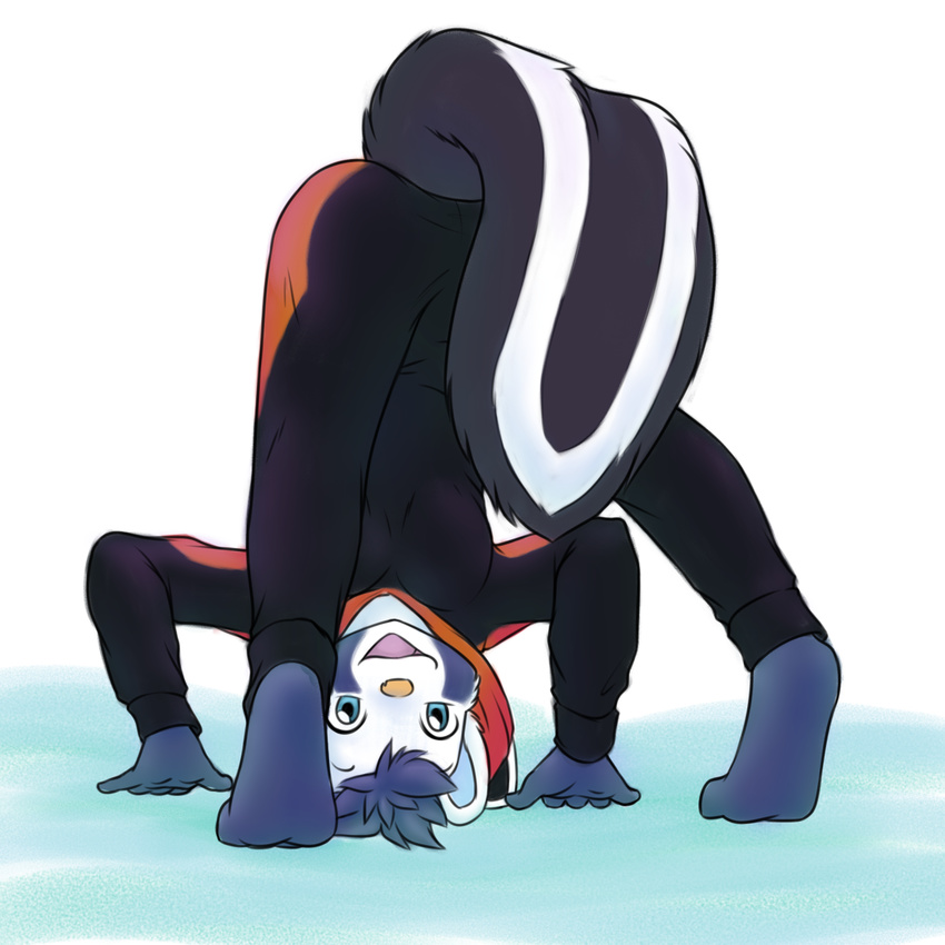 2015 anthro arcturus blue_eyes blue_fur blue_hair bodysuit butt clothed clothing female fur hair hoodie hybrid kigurumi looking_at_viewer mammal markings open_mouth red_panda simple_background skinsuit skunk skunk_tail smile snow solo spix tumble upside_down white_fur