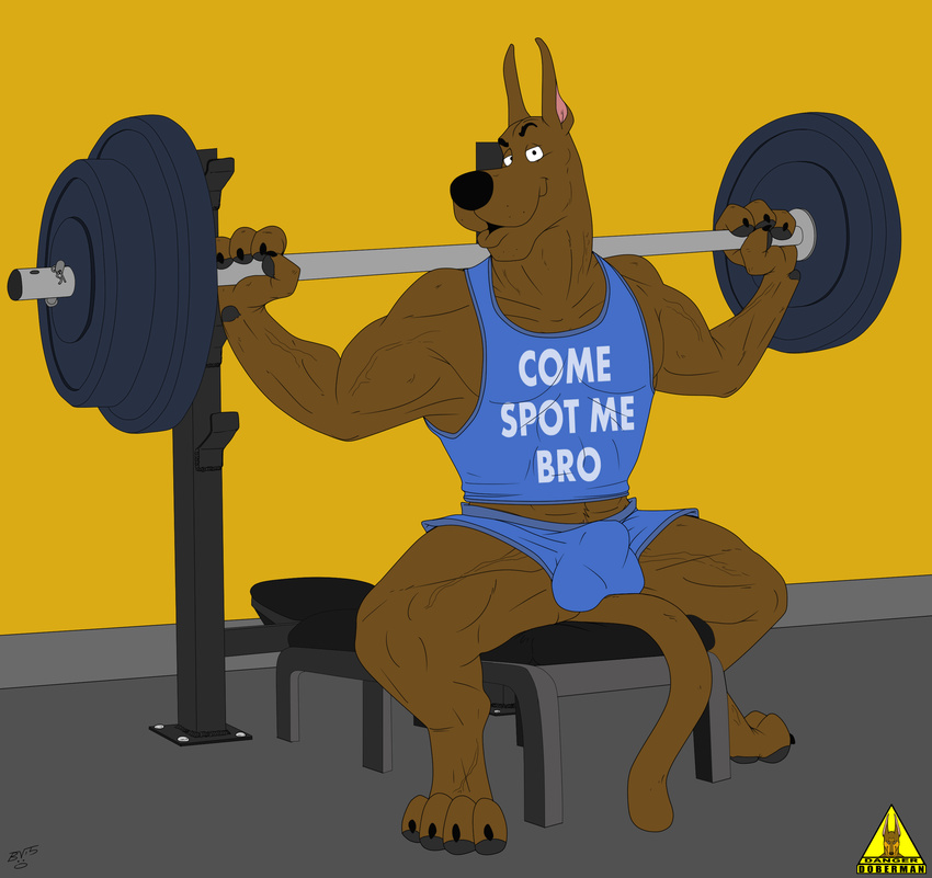 anthro anthrofied bulge canine clothing dangerdoberman dog great_dane male mammal muscles scooby-doo scooby-doo_(series) shirt shorts solo tank_top weights workout