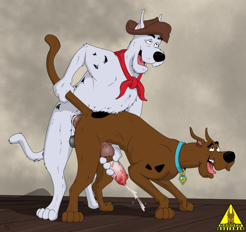 anal anal_penetration balls brothers canine cum dangerdoberman dog from_behind incest male male/male mammal orgasm penetration penis scooby-doo scooby-doo_(series) sibling tongue uncut yabba-doo