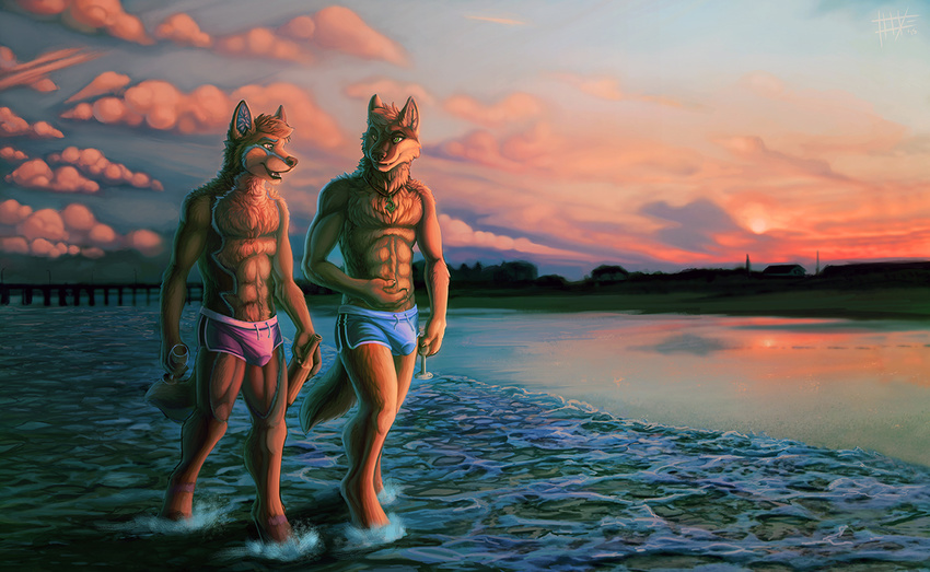 anthro beach bulge canine clothed clothing duo fluke half-dressed male mammal seaside shorts tight_clothing topless vpl water wolf