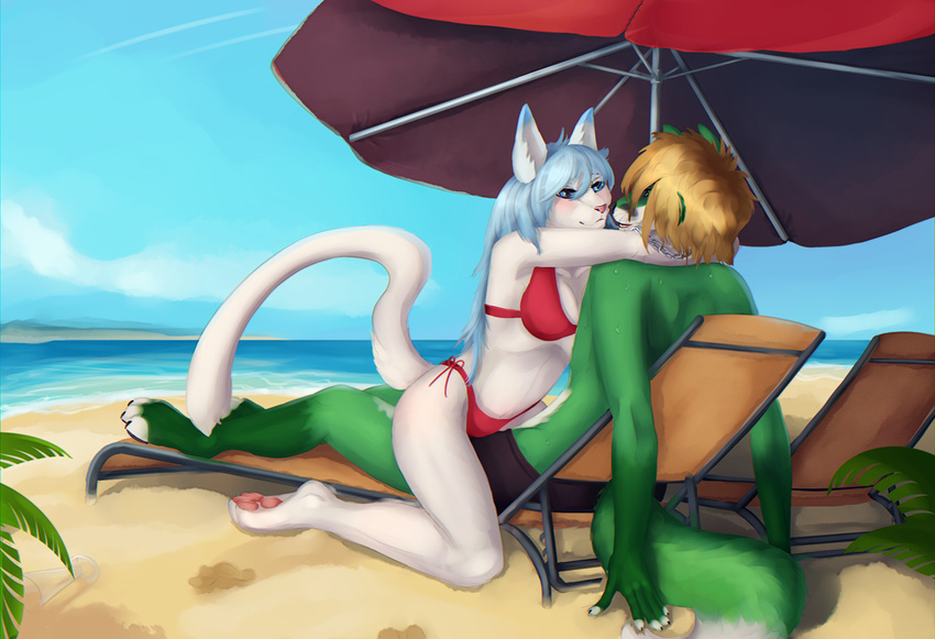 beach blue_eyes blue_hair blush canine feline female fox hair male mammal merrunz sea seaside water