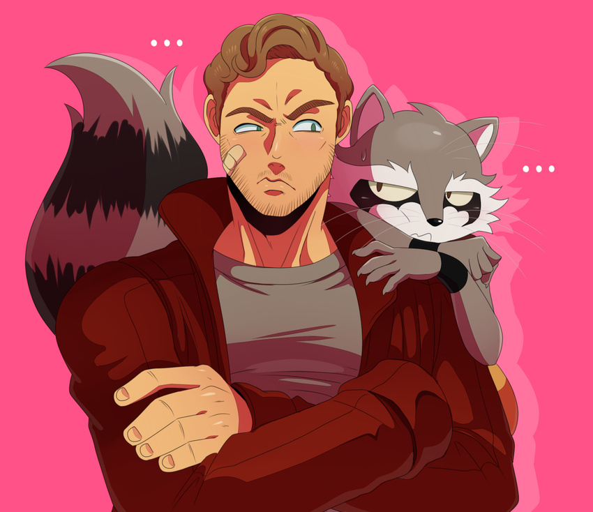 ... anthro clothed clothing frown fur guardians_of_the_galaxy hair human jacket male mammal marvel peter_quill raccoon rocket_raccoon shirt size_difference sssonic2 standing stare sweat