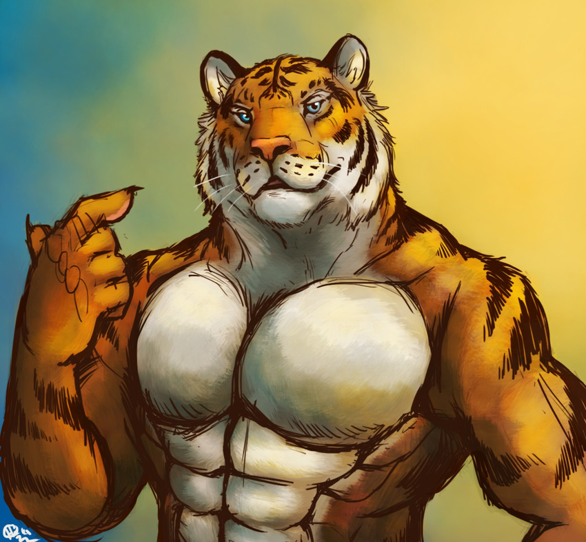 2014 abs anthro black_fur blue_eyes bluechance clothed clothing feline fur half-dressed looking_at_viewer male mammal manly muscles orange_fur pecs pointing ripped solo standing stripes tiger toned topless whiskers white_fur