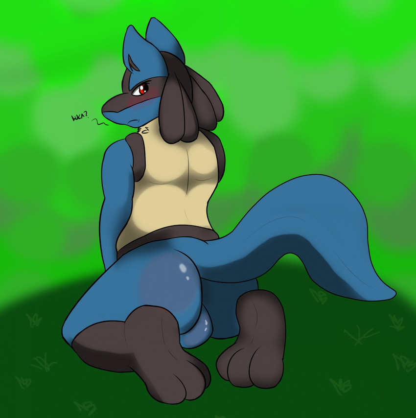 ? anthro balls barefoot blush butt canine english_text fur jackal lucario male mammal nintendo nude pok&eacute;mon presenting presenting_hindquarters question sitting solo text video_games wellek