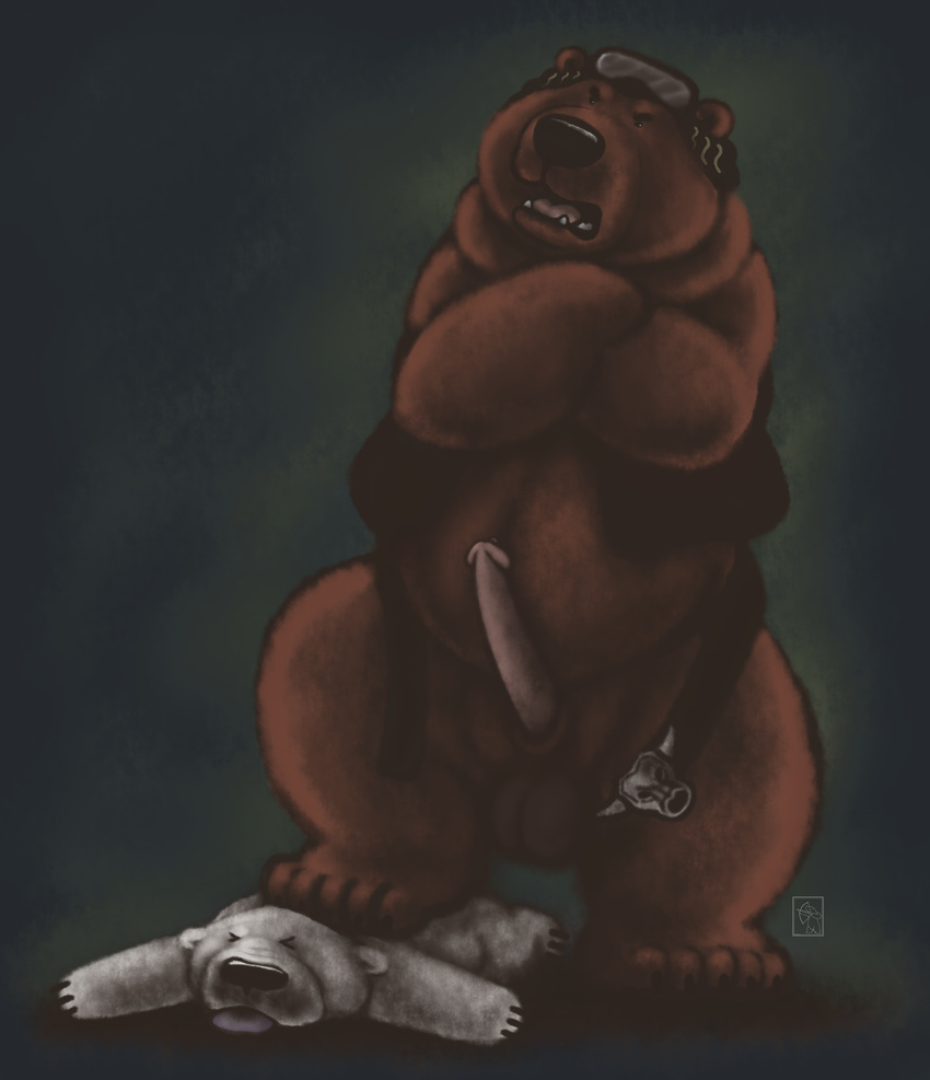 bear dakota-bear erection grizzly_bear male mammal penis polar_bear shirokuma_cafe