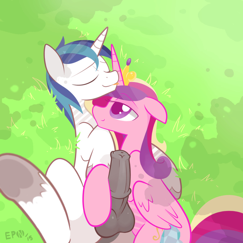 2015 animal_genitalia balls blue_hair braddo couple crown cutie_mark duo equine erection eyes_closed female feral friendship_is_magic hair hooves horn horsecock husband_and_wife male male/female mammal multicolored_hair my_little_pony penis princess_cadance_(mlp) shining_armor_(mlp) smile unicorn winged_unicorn wings