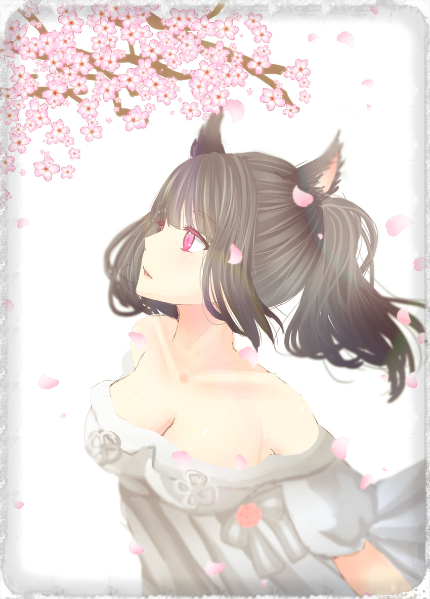 animal_ears bad_id bad_pixiv_id black_hair breasts cherry_blossoms cleavage dress final_fantasy final_fantasy_xiv highres miqo'te off-shoulder_dress off_shoulder pink_eyes ponytail
