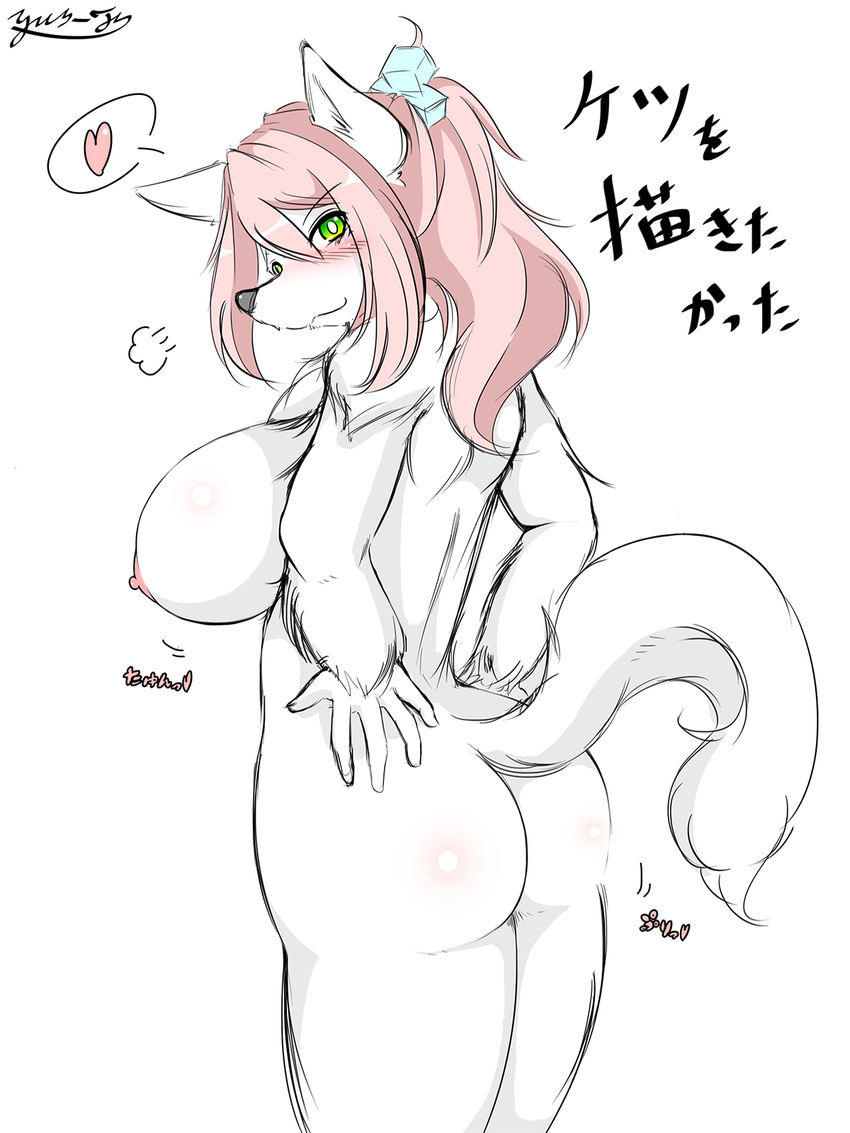 &lt;3 big_breasts blush breasts fur green_eyes hair hand_on_hip japanese_text looking_at_viewer looking_back mammal nipples nude pink_hair ponytail smile text translation_request unknown_species white_fur yus-ts