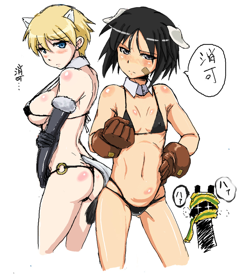 animal_ears ass bikini black_bikini black_gloves black_hair blonde_hair blue_eyes blush body_blush brave_witches breasts bunny_ears cleavage covered_nipples detached_collar dimples_of_venus dog_ears elbow_gloves flat_chest fur_trim gloves grey_eyes groin highres kanno_naoe kunashiri_(etorofu) large_breasts micro_bikini multiple_girls navel nikka_edvardine_katajainen scarf shimohara_sadako sideboob silhouette_demon swimsuit tail thought_bubble weasel_ears weasel_tail world_witches_series