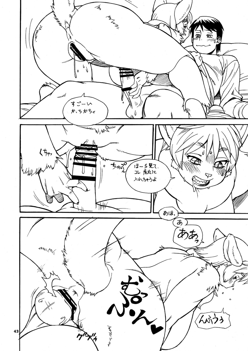 anthro book_of_the_beast cat censored comic doujinshi feline female hair human human_on_anthro interspecies japanese_text kemono male mammal penis pussy sex short_hair text translation_request