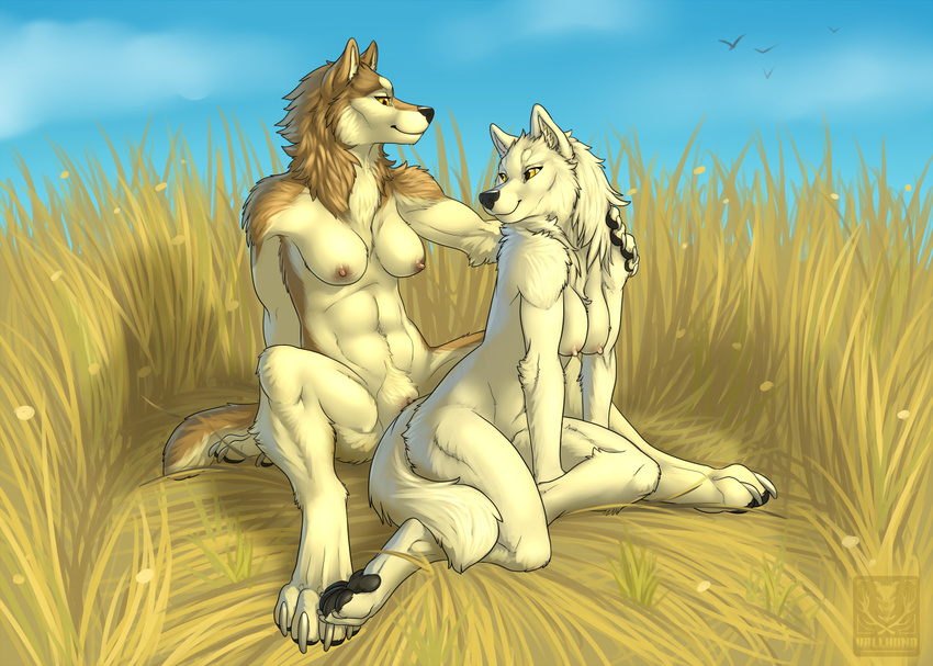 2015 anthro breasts canine duo female fur grass mammal nipples nude sitting smile tagme vallhund white_fur white_wolf wolf yellow_eyes