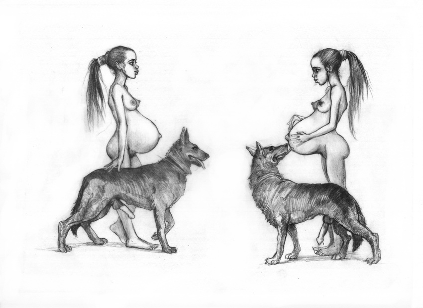 2015 animal_genitalia areola balls bestiality breasts butt canine dog ear_piercing erection female feral fur hair human interspecies knot licking long_hair male mammal monochrome nipples nude penis piercing plain_background pregnant sketch tongue tongue_out unknown_artist