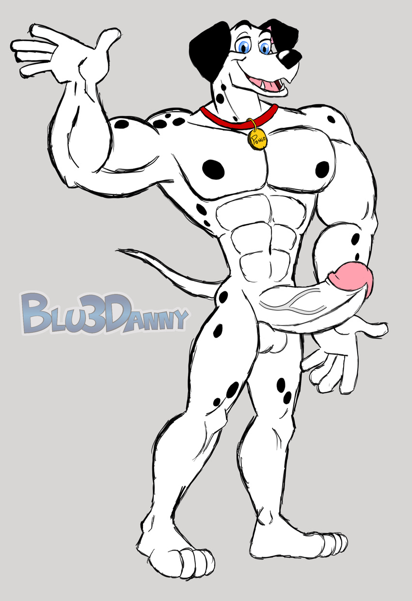 101_dalmatians 2015 big_muscles big_penis blu3danny blue_eyes canine collar dalmatian disney dog erection male mammal muscles nude penis pongo presenting solo spots thick_penis toony vein