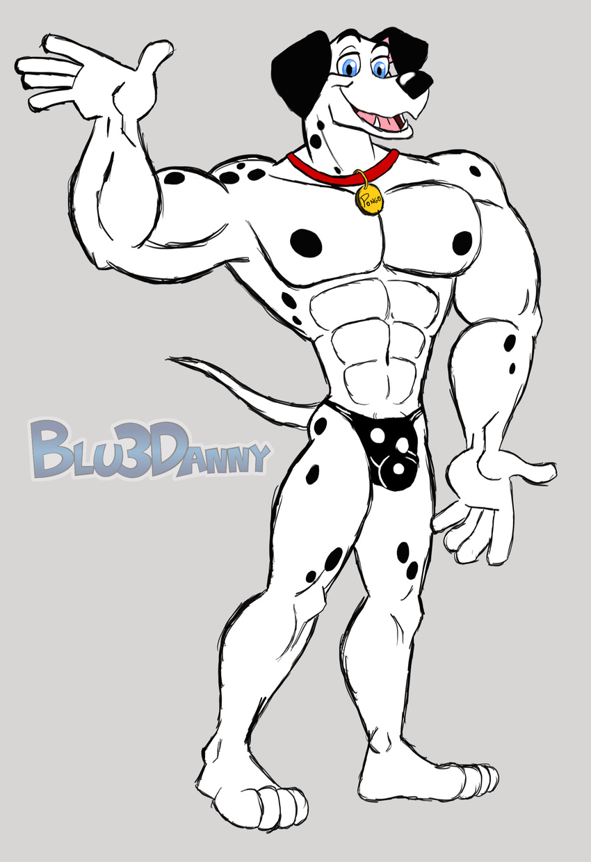 101_dalmatians 2015 big_muscles blu3danny blue_eyes bulge canine collar dalmatian disney dog male mammal muscles penis_slip pongo presenting solo spots toony vein