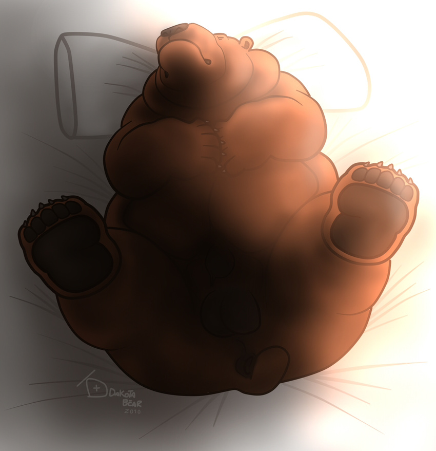 2010 anus balls bear bed brown_fur chubby dakota-bear feral fur grizzly_bear male mammal sheath solo