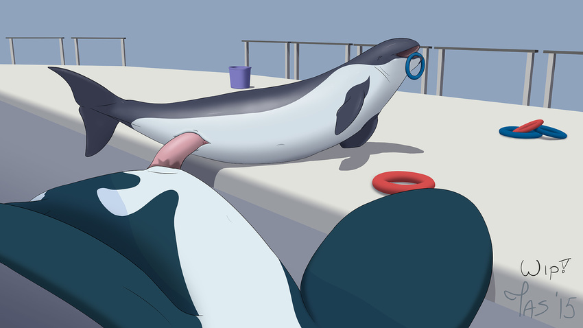 2015 cetacean eyes_closed feral feral_on_feral larger_male mammal marine open_mouth orca partially_submerged penetration penis poolside porpoise size_difference smaller_female tapering_penis tasuric unfinished vaginal vaginal_penetration water whale