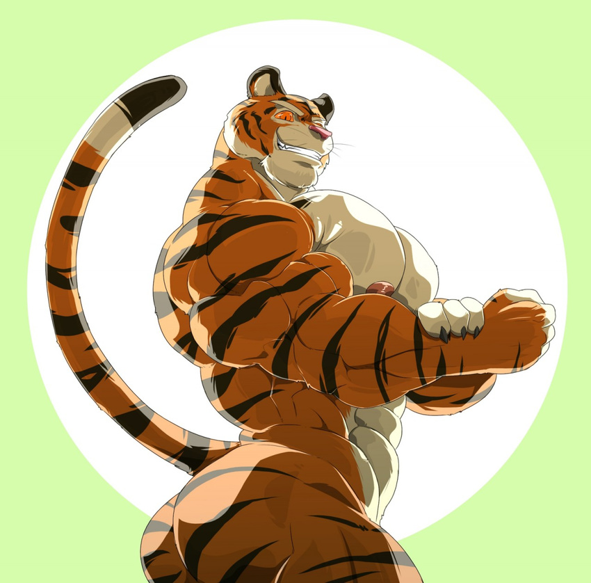 2015 abs anthro back biceps big_muscles black_fur bodybuilder butt claws feline flexing fur hyper hyper_muscles kartos looking_at_viewer low-angle_shot male mammal manly muscles nipples nude orange_eyes orange_fur pecs pink_nipples pink_nose pose ripped shiny smile solo standing stripes teeth tiger toned whiskers white_fur