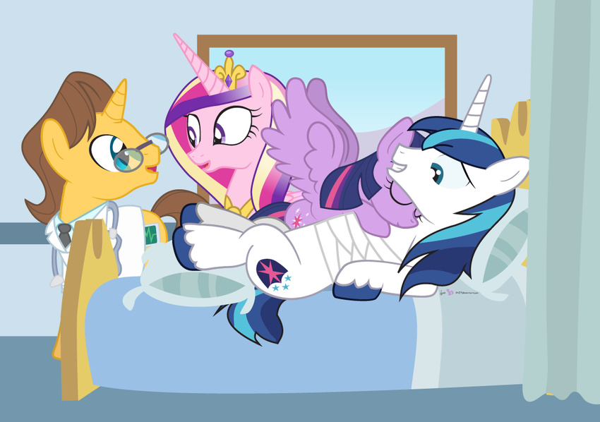 2015 dm29 doctor_stable_(mlp) equine female feral friendship_is_magic horn male mammal my_little_pony princess_cadance_(mlp) shining_armor_(mlp) twilight_sparkle_(mlp) unicorn winged_unicorn wings