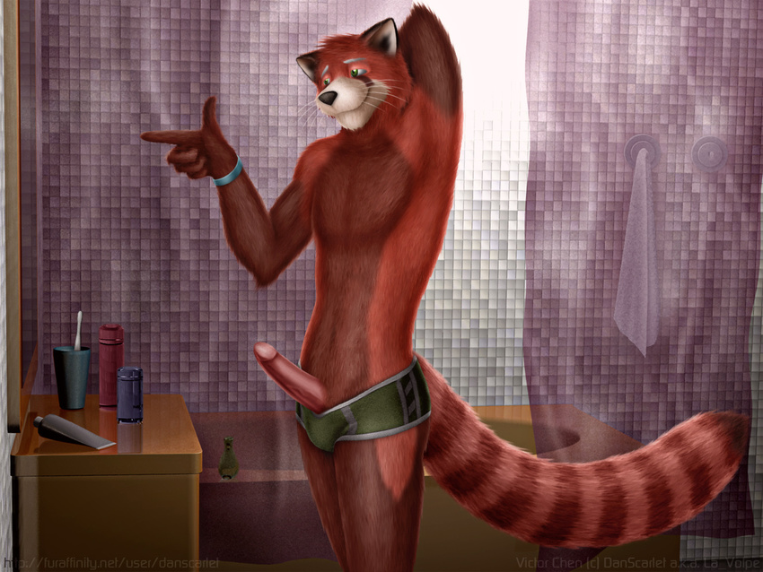 3d bathroom black_fur black_nose brown_fur clothed clothing dan_scarlet erection fur green_eyes half-dressed humanoid_penis male mammal mirror orange_fur penis poking_out red_fur red_panda shorts smile solo speedo swimsuit topless underwear whiskers white_fur