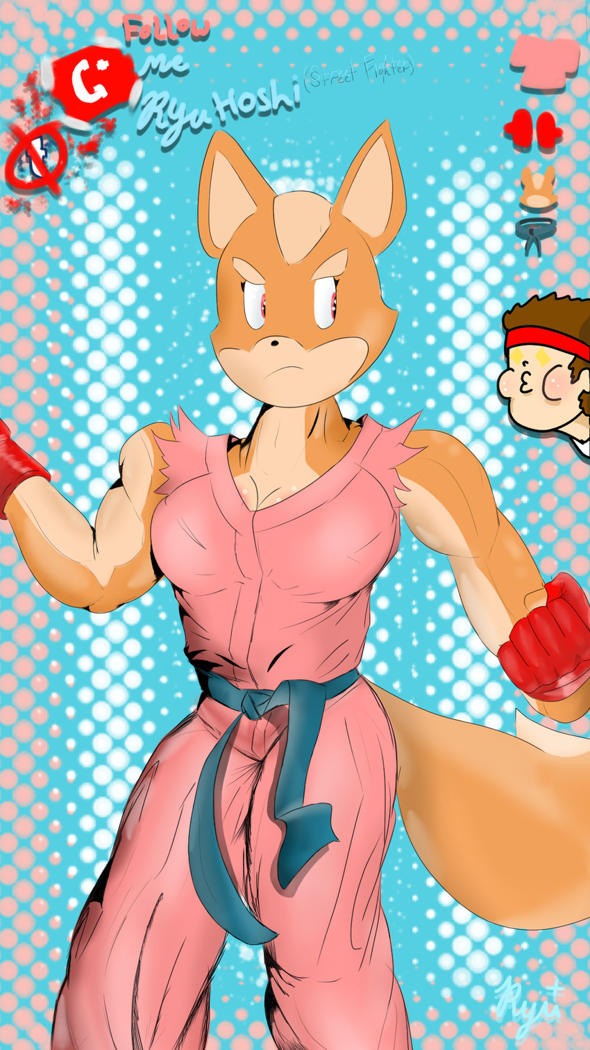 anthro crossgender female fox_mccloud gi male nintendo ryu ryu+ solo_focus star_fox video_games