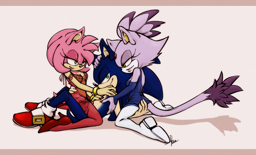 amy_rose blaze_the_cat blue_fur fur group male/female/female pink_fur purple_fur sonic_(series) sonic_the_hedgehog