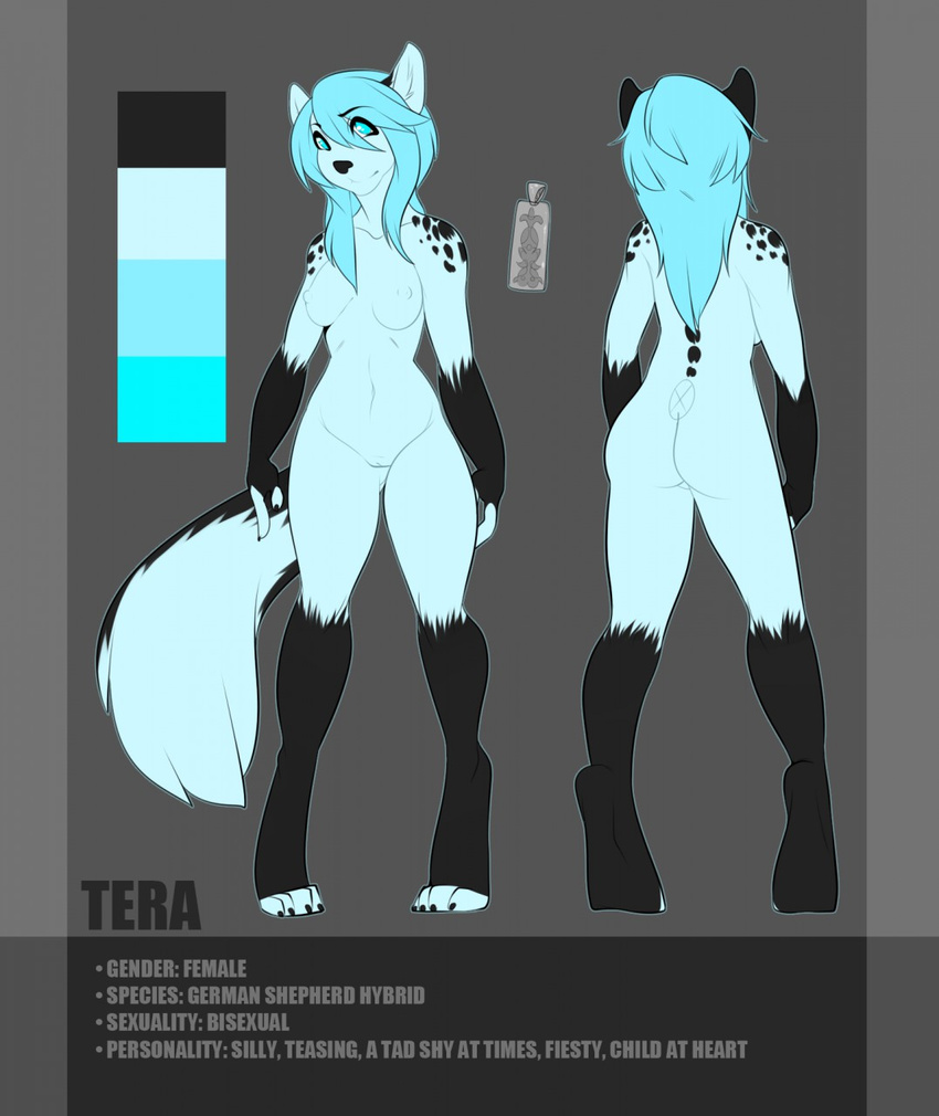 black_nose blue_eyes blue_fur blue_hair breasts butt canine claws english_text female fur gloves_(marking) hair long_hair mammal markings model_sheet nude pussy shadowfox89666 socks_(marking) solo standing teil tera text toe_claws