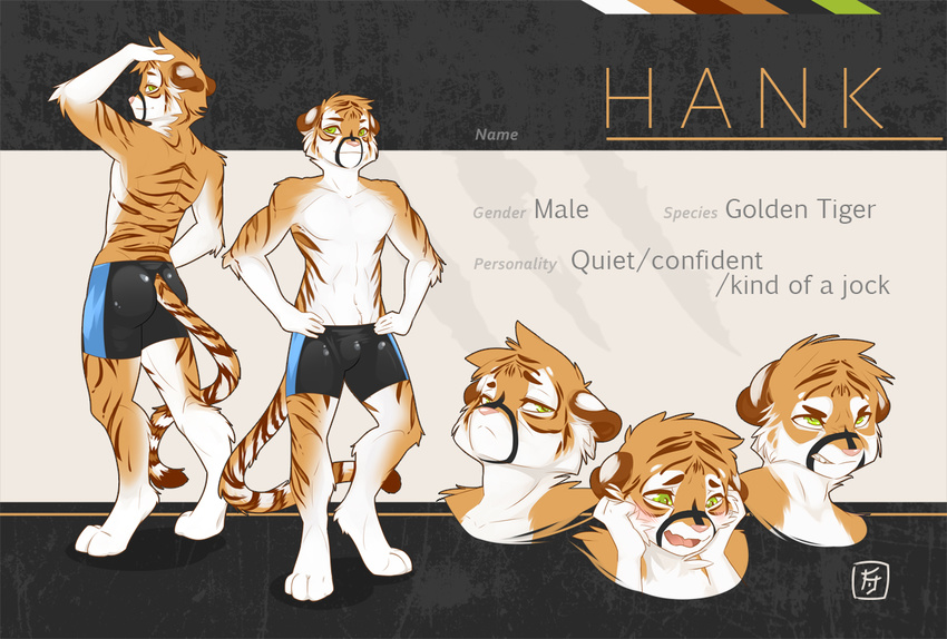 2015 aloof angry anthro blush boxer_briefs brown_fur bust butt clothed clothing digitigrade dragonfu embarrassed feline front_view fur green_eyes half-dressed hand_on_head hands_on_hips hank_(logitech) male mammal model_sheet multiple_poses rear_view smile solo tiger toned topless underwear white_fur