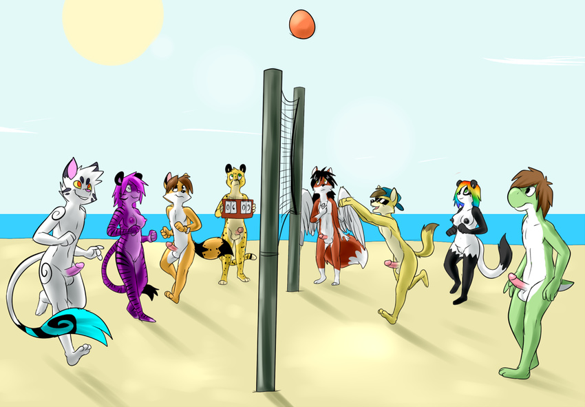 anthro balls beach bear blast_mcyote breasts canine cat cheetah coyote erection feline female fox geoff_(yoshi) group male mammal mario_bros metal_(artist) metal_(character) nintendo nude nude_beach outside panda penis prisma_lin sai_(character) sam_the_angel_fox seaside sky steve_(smsfoxx) tiger video_games volleyball wings yoshi zach_(gamerfox)