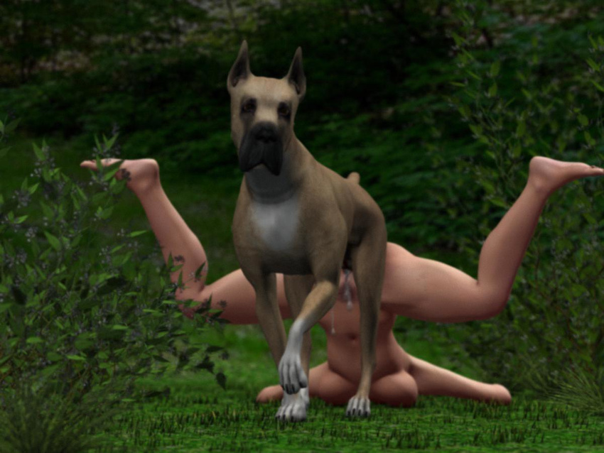 3d bestiality big_breasts breasts canine canis3 cum dog dragging female feral forced great_dane human interspecies knotting lindsay mammal pussy rape sex