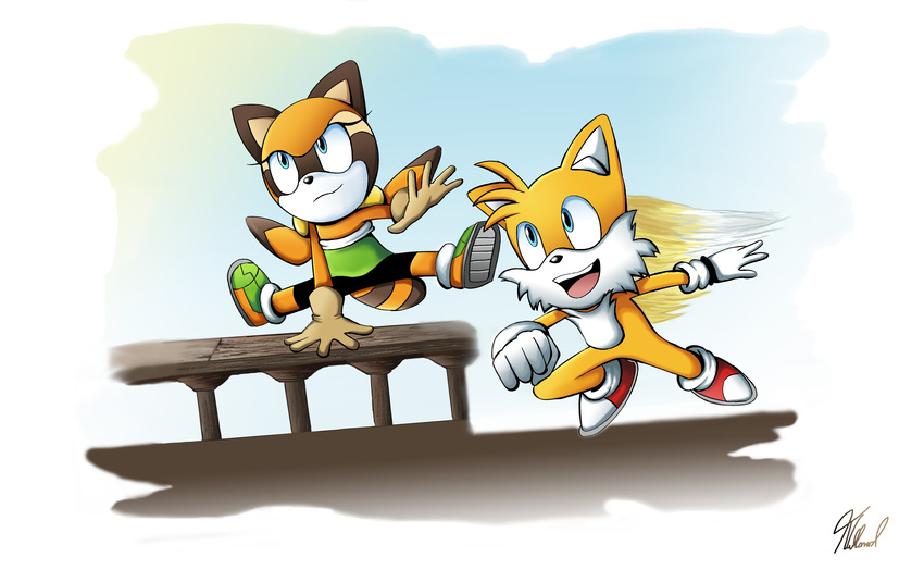 canine female fox male mammal marine_the_raccoon miles_prower raccoon rushdraik sonic_(series)