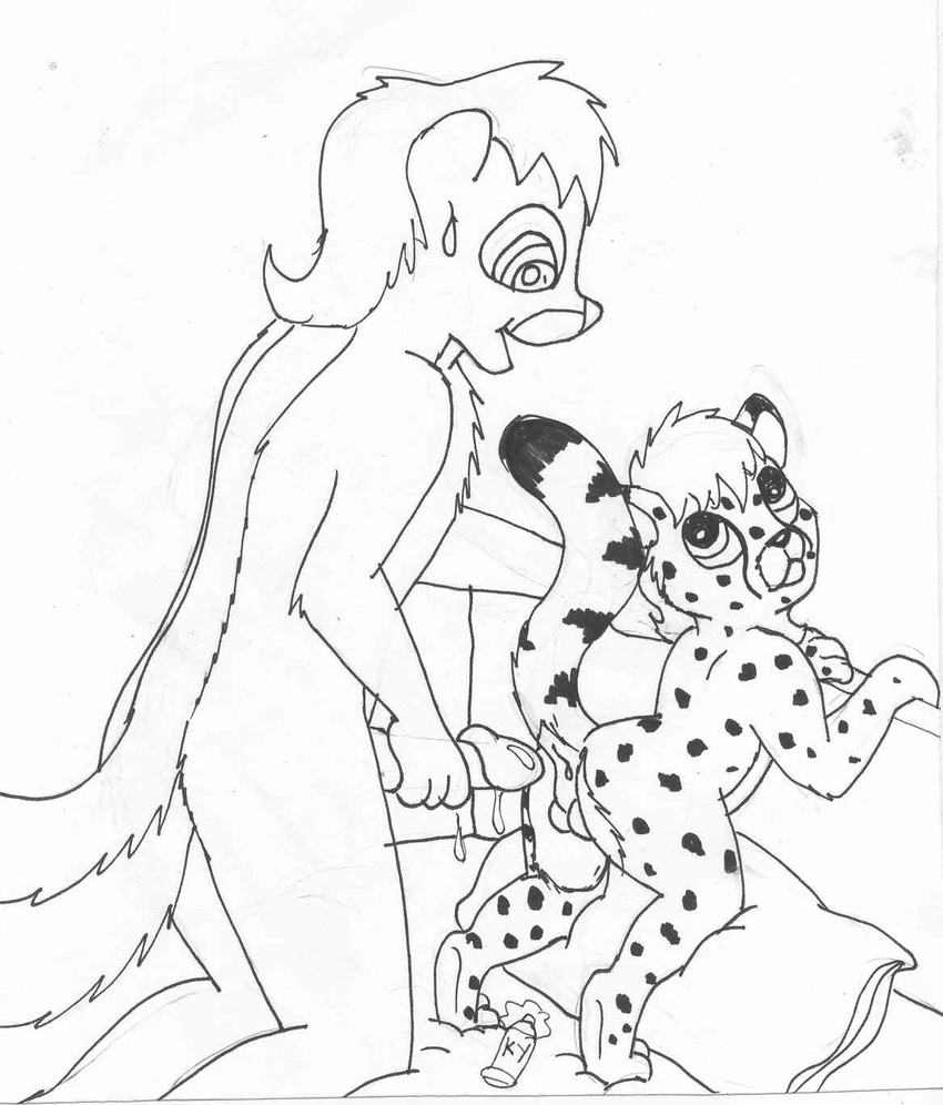 anus balls cheetah cub feline male mammal mike_sherman penis skunk young