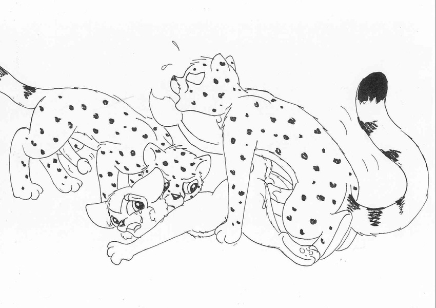 anus cheetah cub feline female forced lion male mammal mike_sherman penis pussy rape sex young