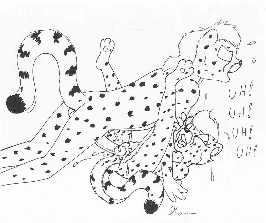 balls cheetah cub feline female male male/female mammal mike_sherman penis pussy sex young