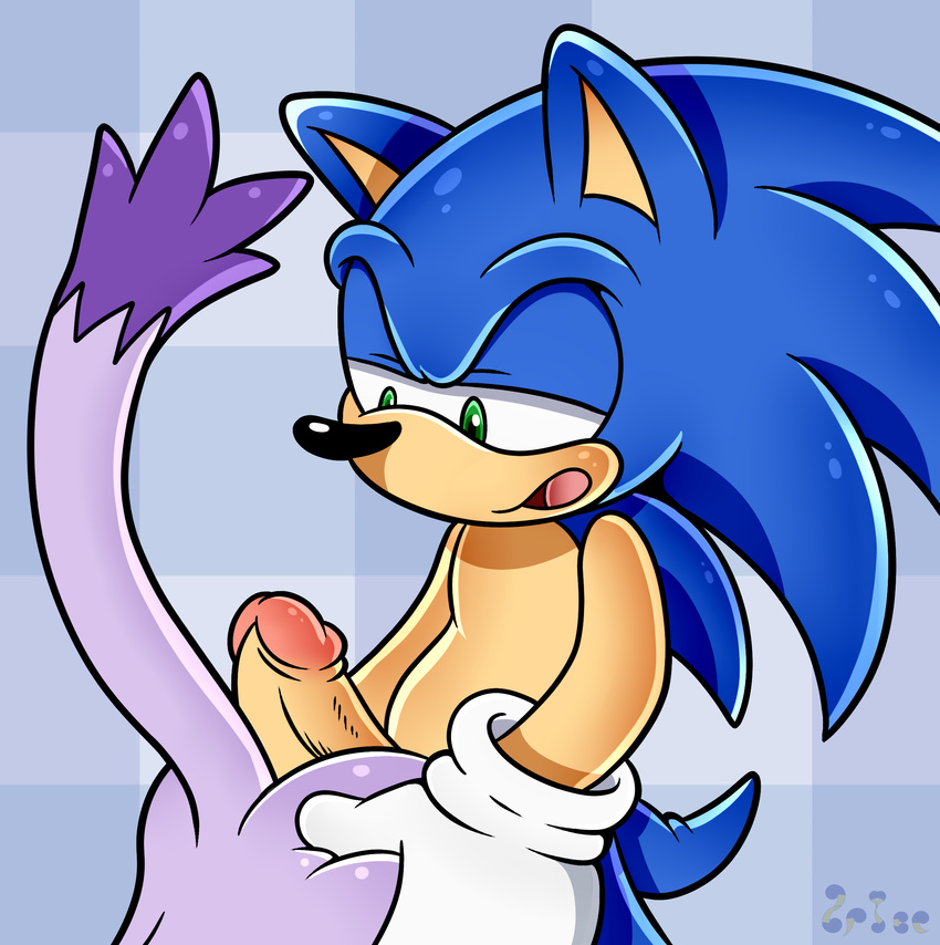 2015 anthro blaze_the_cat butt duo erection feline female fur green_eyes male male/female mammal nude open_mouth penis sex sonic_(series) sonic_the_hedgehog spice5400 tongue video_games