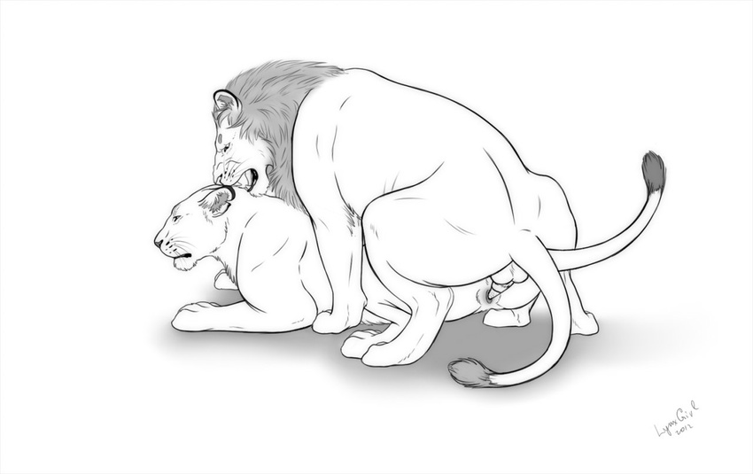 feline female feral lion male male/female mammal reallynxgirl