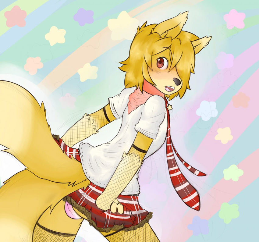 balls blush canine clothing collar girly male mammal necktie panties red_eyes scarf sebafox skirt solo star underwear