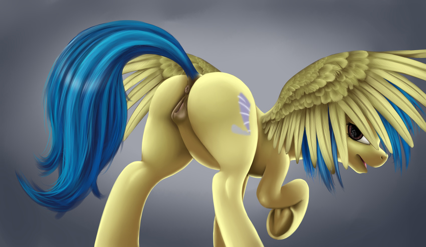 2015 animal_genitalia anus blue_hair butt cutie_mark digital_media_(artwork) dock equine equine_pussy fan_character female feral hair horn looking_at_viewer looking_back mammal my_little_pony open_mouth pegasus puffy_anus pussy silvia_windmane solo tres-apples wings