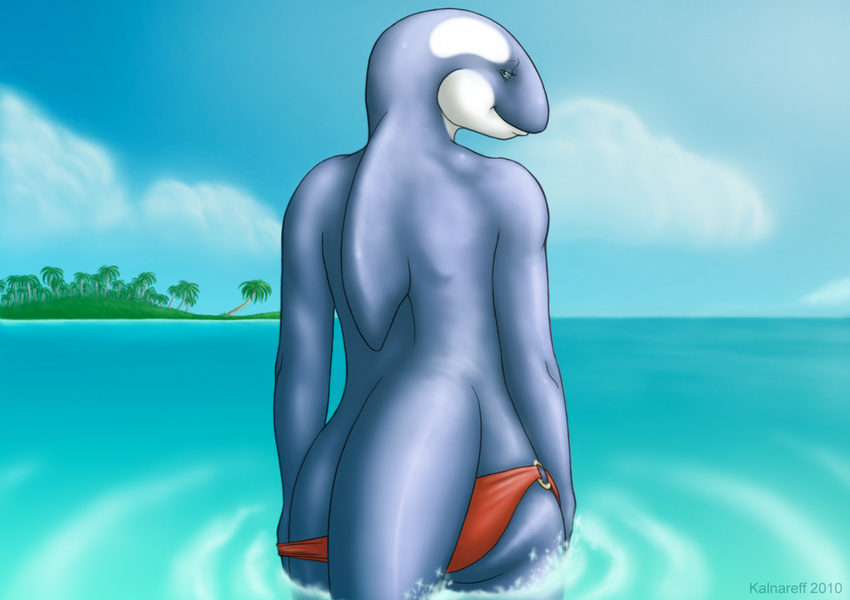 2010 ambiguous_gender anthro beach bikini blue_skin butt cetacean clothed clothing cloud english_text fin green_eyes half-closed_eyes half-dressed inviting island kalnareff looking_at_viewer looking_back mammal marine orca seaside seductive sky smile solo swimsuit text topless tree undressing water whale white_skin