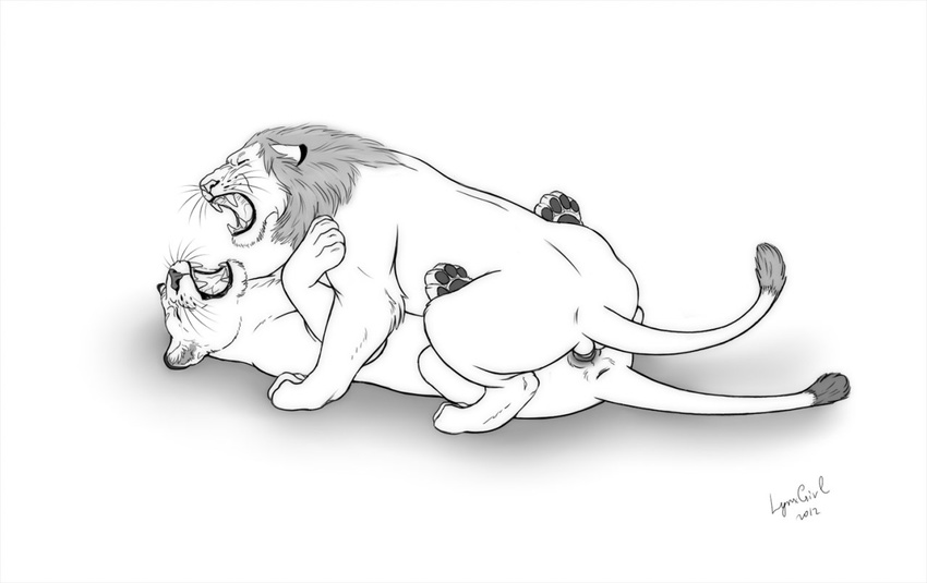 feline female feral lion male male/female mammal reallynxgirl